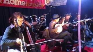 Washago Music Festival  EverLovin Jug Band  Babe the Dog [upl. by Citron]