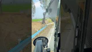 The process of cutting down a tree near the road [upl. by Allisan]