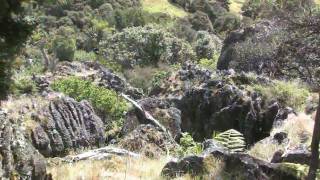 Wairere Boulders Horeke Hokianga Northland [upl. by Ames]