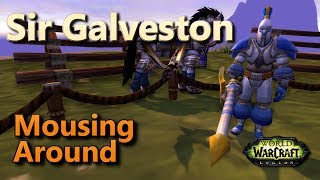 Sir Galveston Mousing Around Family Familiar Pet Battle World Quest Fight Night [upl. by Babette556]