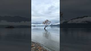 Lake Wanaka New Zealand [upl. by Ahsuas650]