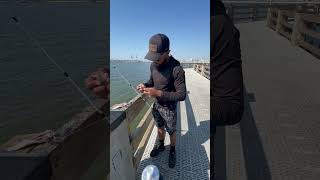 Fishing the pier just messing around 🤷🏽‍♂️🎣🎣fishing fish findingpeaceinthegreatoutdoors [upl. by Norre]