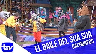 El baile del Sua Sua  Cachureos [upl. by Ayik357]