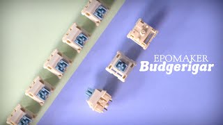 Epomaker Budgerigar Switches  Detailed Review and Sound Test [upl. by Williams]