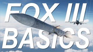 DCS F16 FOX 3 BASICS RWSTWS [upl. by Mohr496]