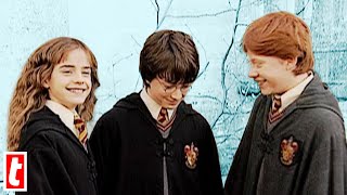 Ron amp Hermione  someones bound to get burned [upl. by Jann]