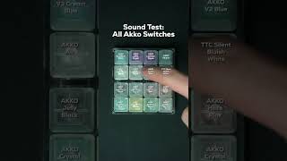 Sound Test  All Akko Switches [upl. by Bysshe384]