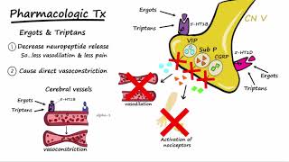 Migraines  Pathophysiology amp Treatment Described Concisely [upl. by Zetnom552]