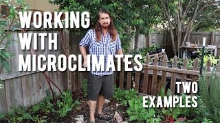 Working With Microclimates  Two Examples [upl. by Atsira669]