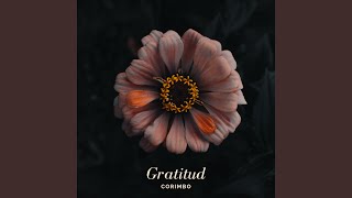 Gratitud [upl. by Tymon]