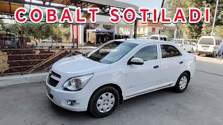 Cobalt Uydan Sotiladi 2019Yil  Surxondaryo Viloyati Sariosiyo Shargʻundan cobaltnarxi [upl. by Seif]