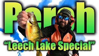 Leech Lake Perch Fishing [upl. by Orabla]