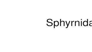 How to pronounce Sphyrnidae [upl. by Jesus433]