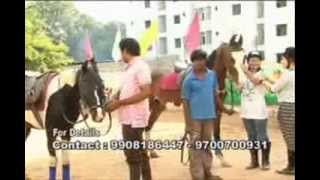 HYDERABAD HORSE RIDING SCHOOL  DOCUMENTARY  RUBY NEWS CHANNEL [upl. by Notlit]