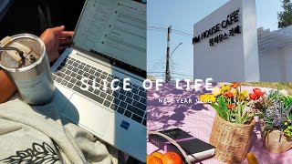 quotNew Year Bliss A Week in My Life as a Uni Student Returning to Khon Kaen Province 🎉📚  Vlog 2024quot [upl. by Craw]