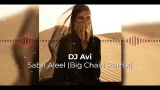 TikTok Song Sabri Aleel Big Chain Remix  Sherine  شيرين  صبري قليل فيديو كليب  With Lyric [upl. by Kurtis]