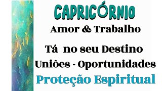 CAPRICÓRNIO ♑️ RECONHECIMENTO REALIZAÇÕES [upl. by Earased]