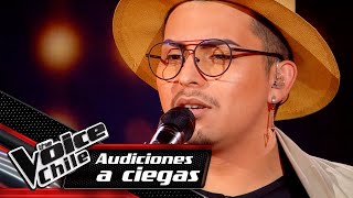 Ignacio Araneda  El crucifijo de piedra  Audiciones a Ciegas  The Voice Chile [upl. by Acissehc]