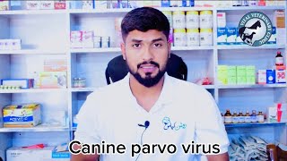 Canine Parvo Virus  CPV  by Dr Noman [upl. by Eedrahc616]