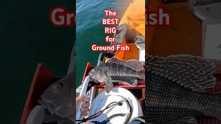 Best Inshore Fishing Rigs How to Set Up Inshore Fishing Rigs [upl. by Kinemod214]