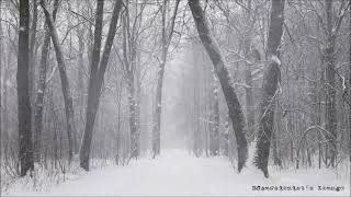 쿠와타 케이스케 桑田佳祐 – 白い恋人達 Full verWith walking in snow sounds [upl. by Teodoor192]