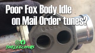 Idle Air Control  Smooth Idle Tuning for Fox Body Mustang 50 [upl. by Norrabal975]