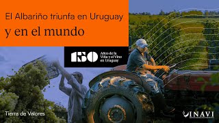 El Albariño triunfa en Uruguay y el mundo  INAVI [upl. by Yllus]