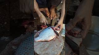 Outstanding Huge Tilapia Fish Cutting Skills Live  shorts [upl. by Htrow]