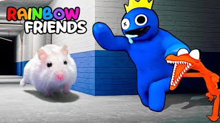 Hamster Adventures In Rainbow Friends Maze In Real Life OBSTACLE COURSE [upl. by Atiuqrahc]