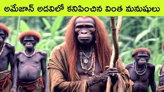 Unsolved mysteries of Amazon forest  strange creatures of amazon forest  facts in telugu [upl. by Namron876]