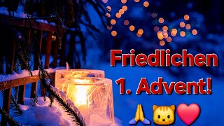 Friedlichen 1 Advent 🙏🐱❤ [upl. by Inol]