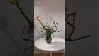 Sogetsu Ikebana Dry Branch Arrangement ikebana sogetsu floraldesign [upl. by Sioled]