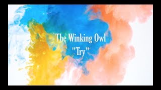 The Winking Owl  Try Official Music Video [upl. by Bashuk]