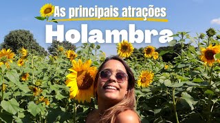 HOLAMBRA AS PRINCIPAIS ATRAÇÕES DA CIDADE DAS FLORES [upl. by Silra]