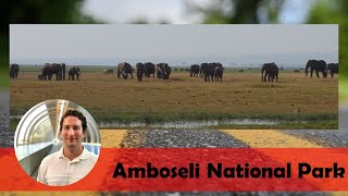 Elephants in Amboseli National Park  Kenya [upl. by Lucius]