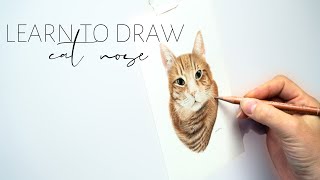 Learn to draw cat nose  A colored pencil animal portrait guide [upl. by Leonardo163]