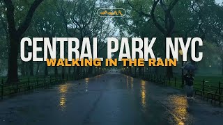 Walking in the Rain CENTRAL PARK NYC  Binaural Heavy Rain Umbrella Thunder amp Nature Sounds [upl. by Goodman]