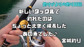 残暑厳しい宮城の海で引きの強いあの魚が成長していた♪ [upl. by Hessney]