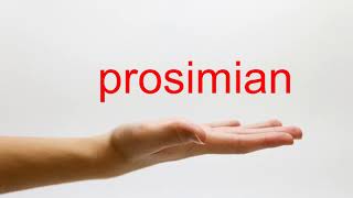 How to Pronounce prosimian  American English [upl. by Bolten]