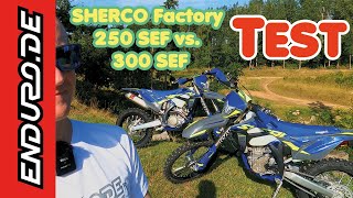 Sherco 250 amp 300 SEF Factory Test [upl. by Ulric310]