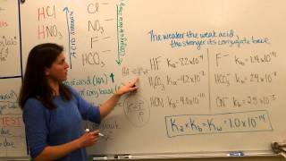 conjugate acid base strength [upl. by Atwahs]