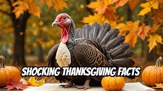 EXPERTS Reveal the Hidden Truth About Thanksgiving Tradition 2024 [upl. by Ojillek744]