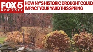 How NYs historic drought could impact your yard this spring [upl. by Einolem598]