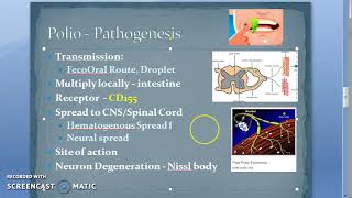 Microbiology 494 b PolioMyelitis Pathogenesis Polio Virus [upl. by Anyar407]