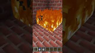 Burning A Endermite In Minecraft 27 [upl. by Quillon921]