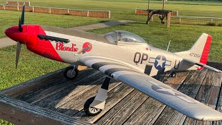 RC EFlite P51 Mustang “Blondie” [upl. by Alistair36]