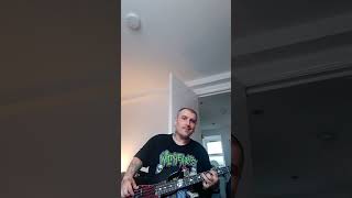 The Stranglers Golden Brown bass cover [upl. by Francisca8]