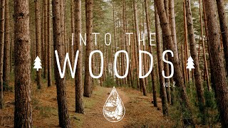 Into The Woods 🌲  A Mysterious IndieFolkPop Playlist  Vol 2 [upl. by Newberry]