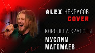 Муслим Магомаев  Королева Красоты кавер ALEX Некрасов [upl. by Goldshlag467]