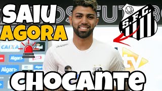 NOTÍCIAS DO SANTOS HOJE  CHOCANTE GABIGOL OFERECIDO PARA O SANTOS INESPERADO [upl. by Marba643]